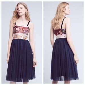 Anthropologie Floral and Navy Dress